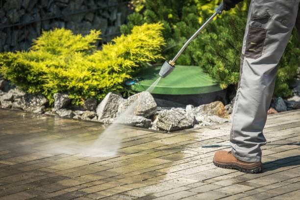 Best Gutter Cleaning  in Freer, TX