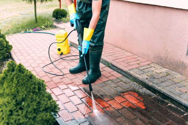 Trusted Freer, TX  Pressure Washing Services Experts
